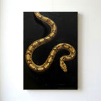 Golden Snake