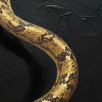 Golden Snake