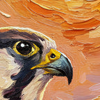 Falcon